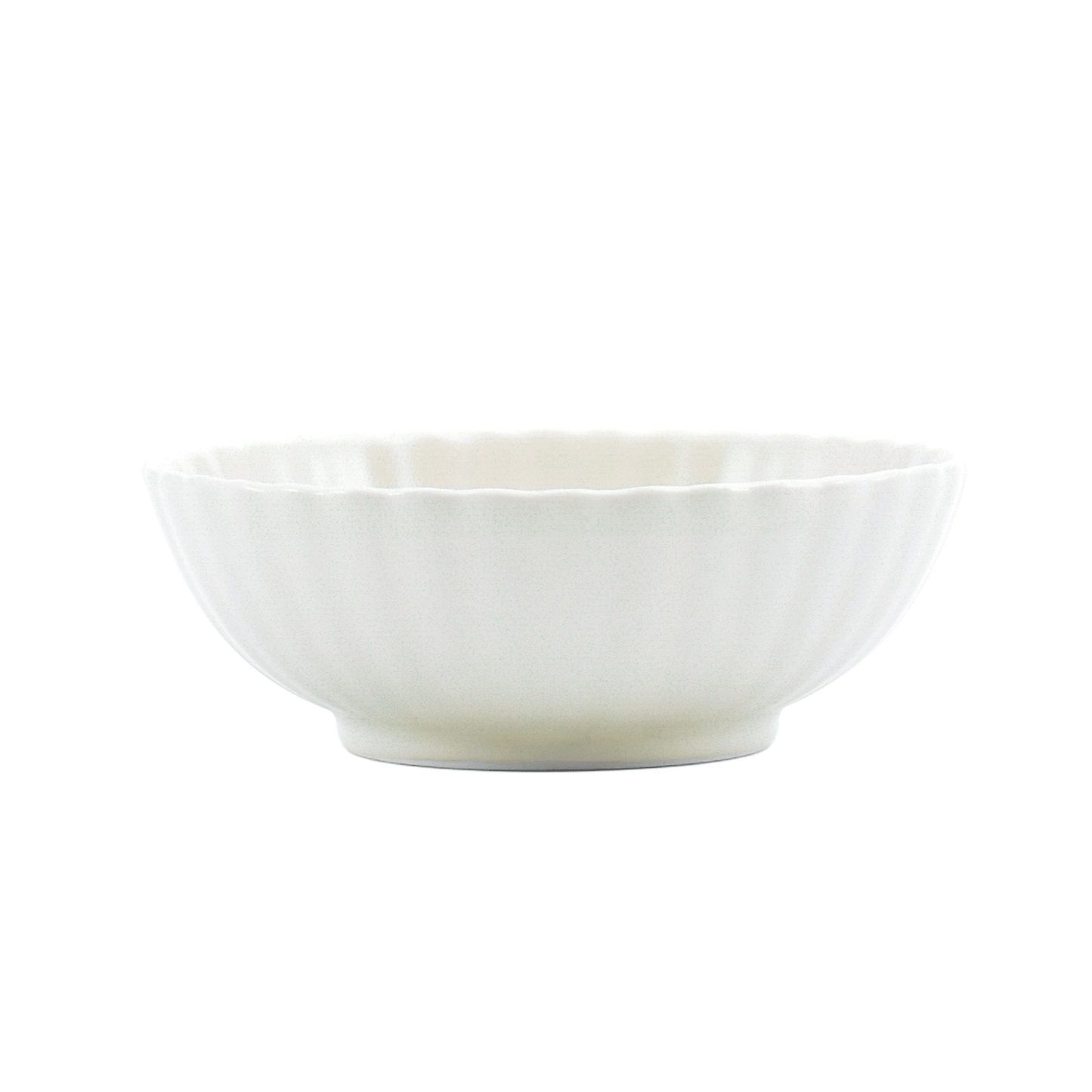 菊鉢 11ぴきのねこ